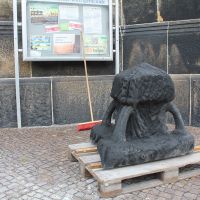 IMG 6659 IMG 6659